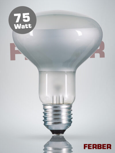 Reflektor R80 75 Watt