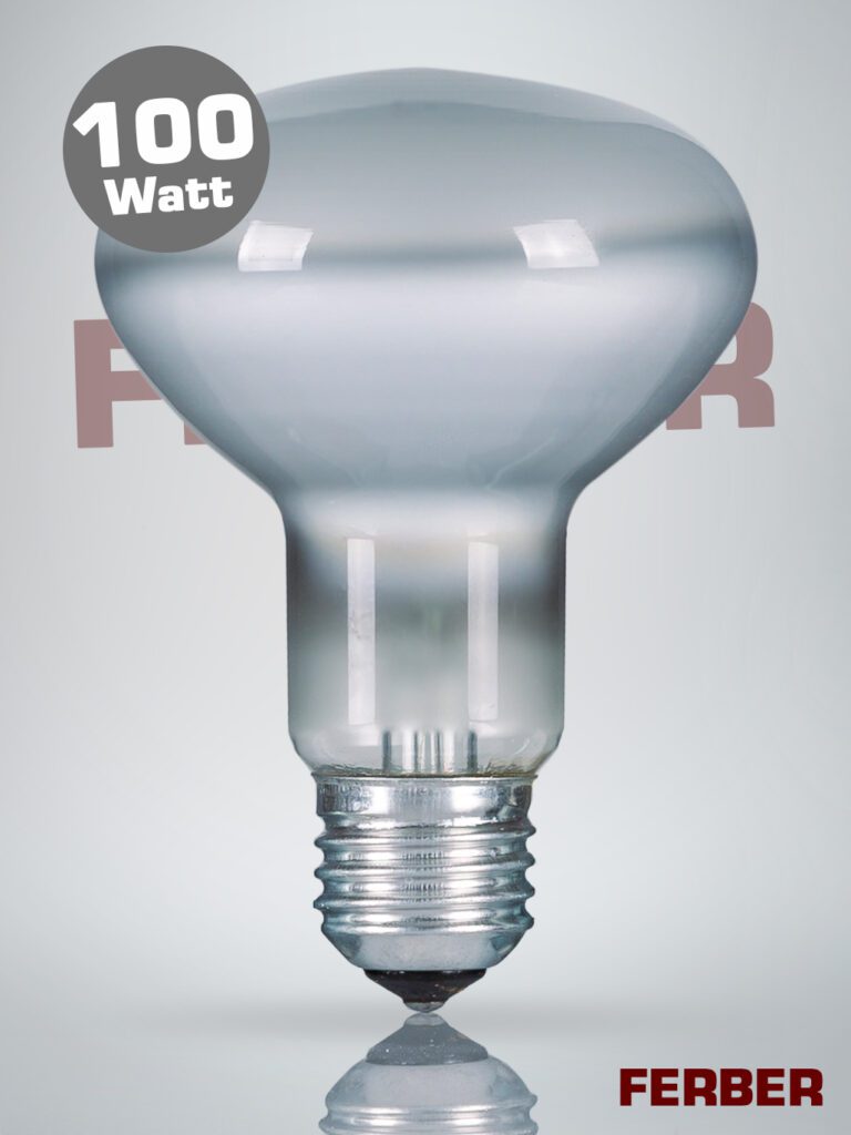 Reflektor R80 100 Watt